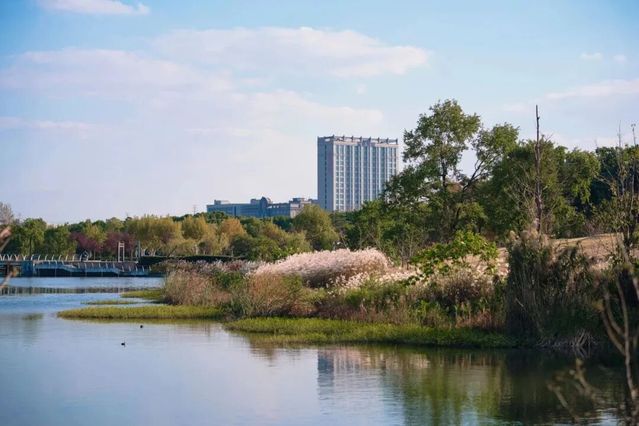 图源 | 学校官方微信公众号